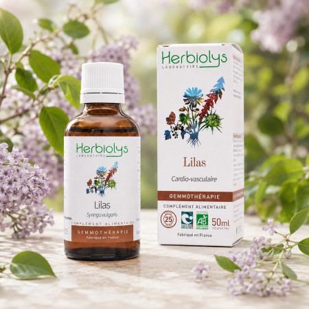 Macérat de bourgeon de Lilas Bio