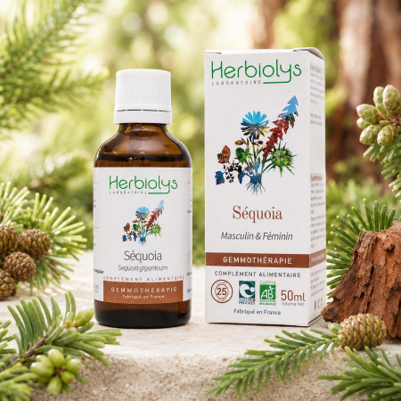 Macérat de bourgeon de Sequoia BIO