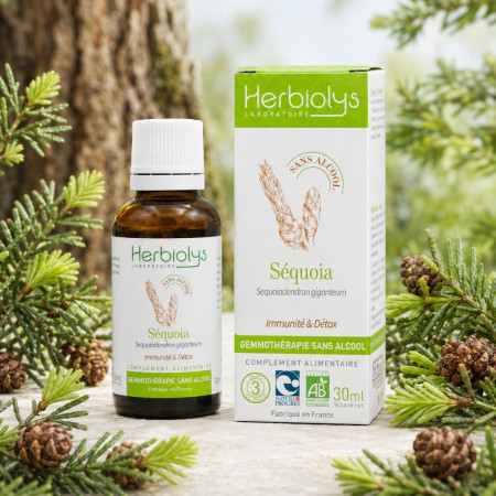 Macérat de bourgeon sans alcool de Sequoia BIO