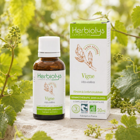 Macérat de bourgeon sans alcool de Vigne BIO