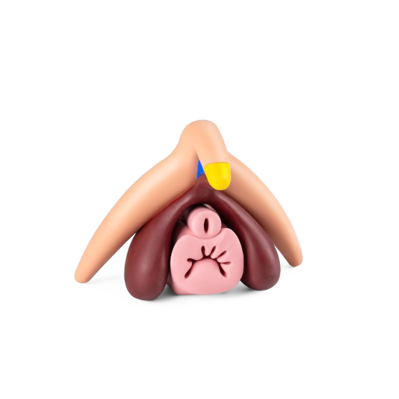 modèle de clitoris 3d en silicone