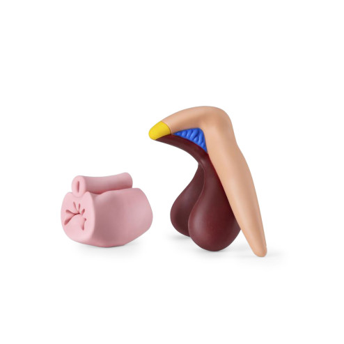 modèle de clitoris 3d en silicone vu de profil