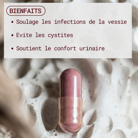 Complément alimentaire Complexe confort urinaire Gapianne