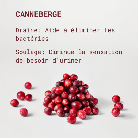 bienfaits canneberge