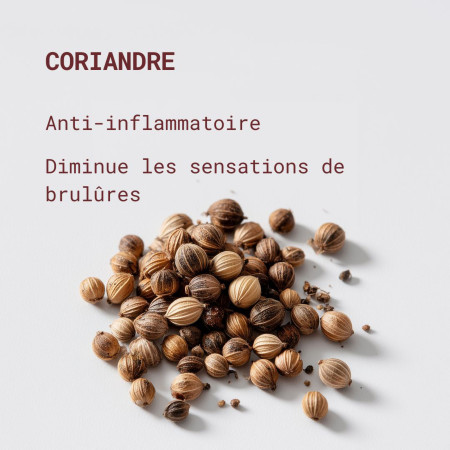 bienfaits coriandre