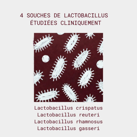 souches de lactobacilles présents dans le complément flore intime