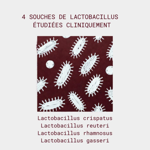 souches de lactobacilles présents dans le complément flore intime