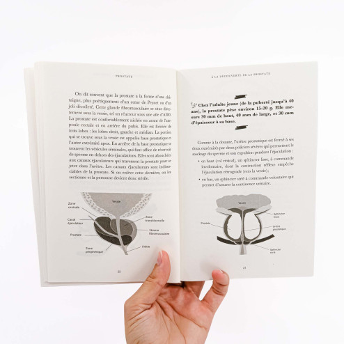 livre sur la prostate avec schéma de la vessie et de la prostate
