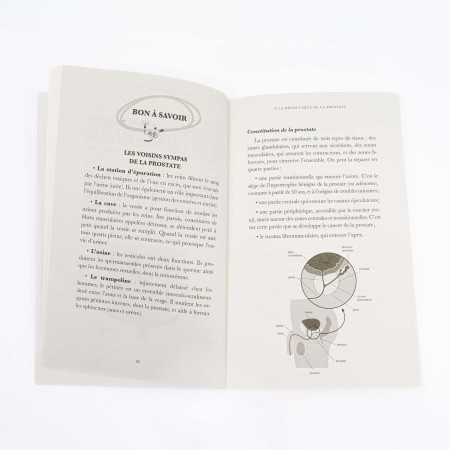 livre sur la prostate et avec schéma détaille de la prostate