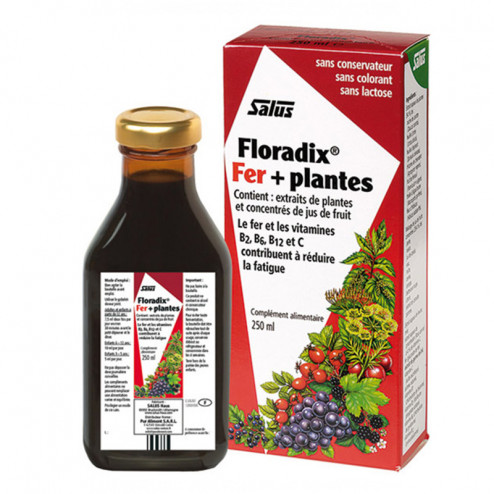 Floradix Fer+Plantes solution buvable