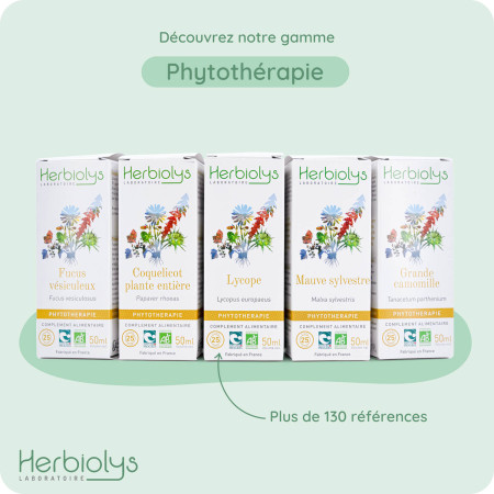 Teinture mère Carotte Bio