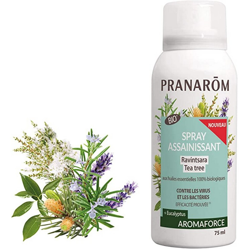 Aromaforce Spray Assainissant Ravintsara Tea Tree BIO de Pranarôm