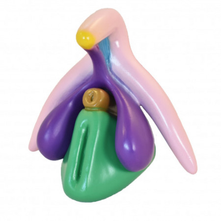 Clitoris 3D de metintim