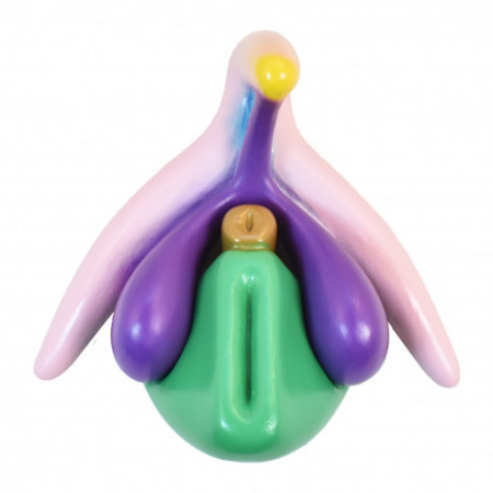 Clitoris 3D de meditim