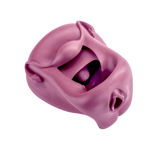 Modèle anatomique de Vagin + Vulve en silicone