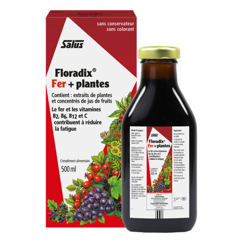 Floradix Fer+Plantes solution buvable