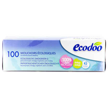 Boîte de 100 mouchoirs écologiques