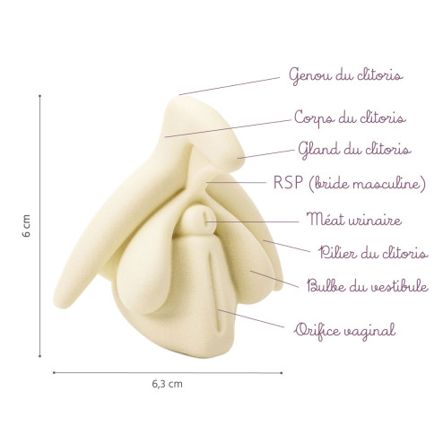 Clitoris taille réelle beige description