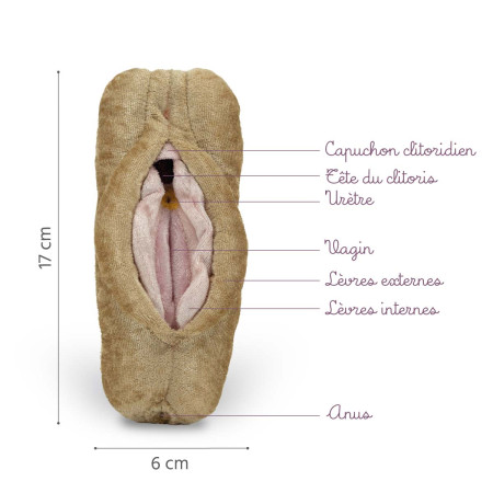 Caractéristiques vagin, vulve et anus en peluche Paomi