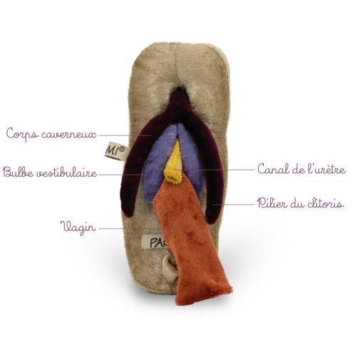 Caractéristiques du dos du modèle vagin, vulve et anus en peluche Paomi