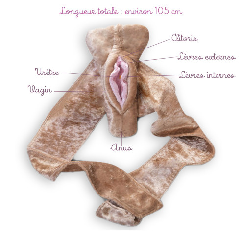 Caractéristiques du modèle anatomique de vagin en peluche avec ceinture