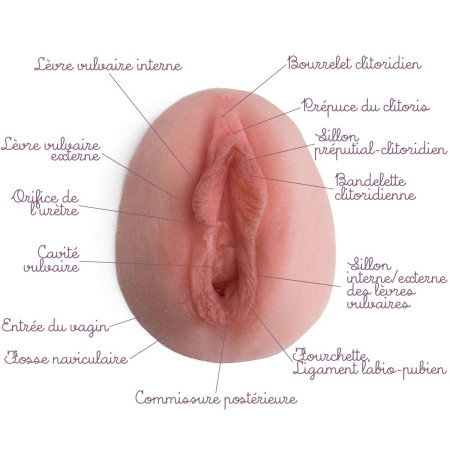 vulve tulipe en silicone légendée