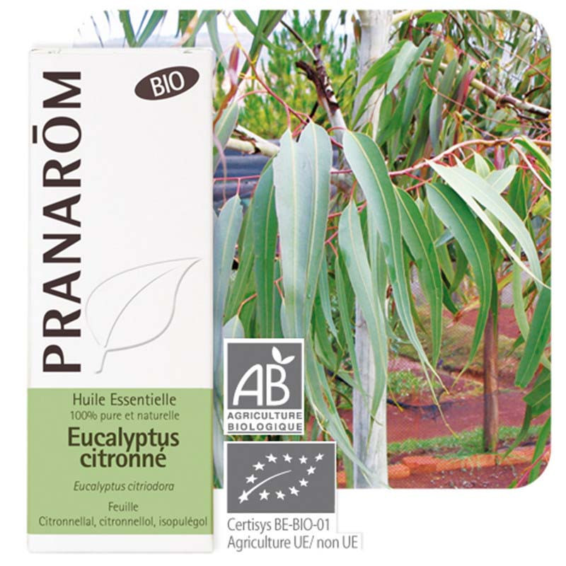 Huile essentielle Eucalyptus citronné Bio