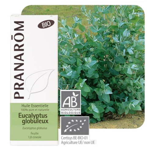 Huile essentielle Eucalyptus globuleux Bio