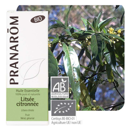 Huile essentielle Litsée citronnée bio