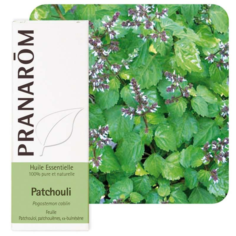 Huile essentielle Patchouli