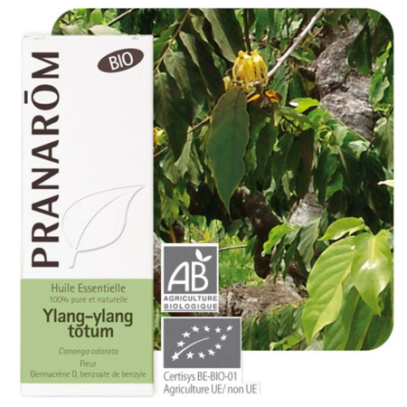 Huile essentielle Ylang Ylang totum Bio