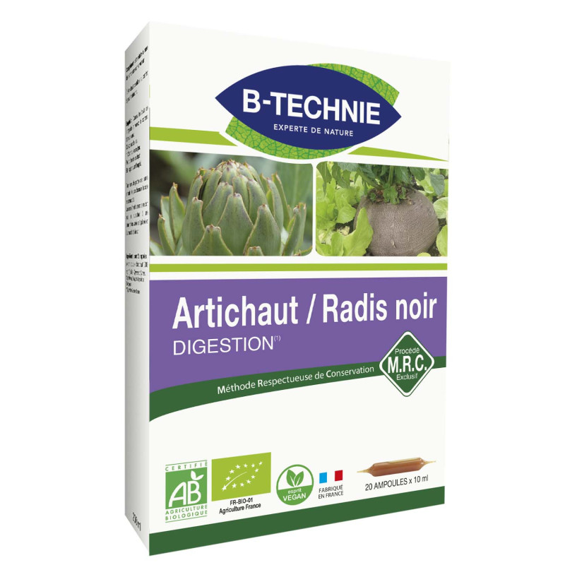 Radis Noir Artichaut bio