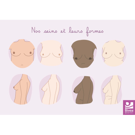 schéma anatomique différentes formes de seins