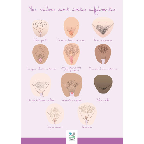 Poster illustrations de différentes formes de vulves |Bivea
