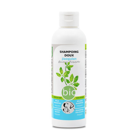 Shampooing bio doux Chien