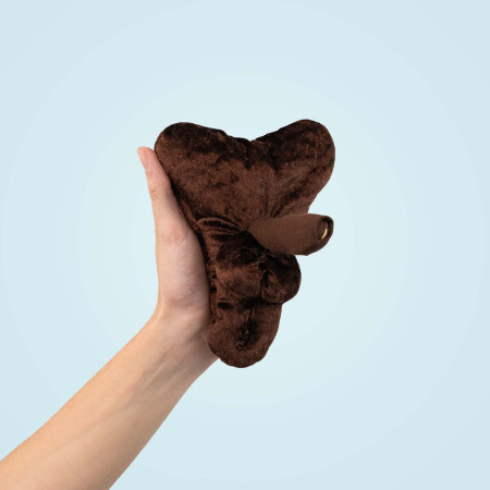 Modèle anatomique de pénis petit au repos + anus en peluche foncé tenu dans une main