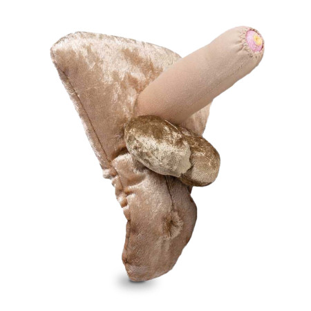 Modèle anatomique de pénis grand + urètre + anus en peluche Paomi
