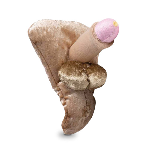 Modèle anatomique de pénis grand décalotté en peluche