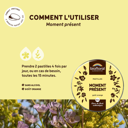 Pastilles Moment Présent Bio