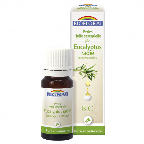 Perles d'huile essentielle Eucalyptus radié