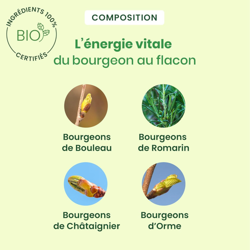 Detox Express Monodose Bio d'Herbalgem | Cure de 7 jours | Bivea