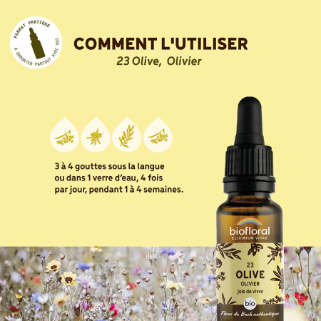 Fleurs de Bach n°23 - Olivier/Olive Bio
