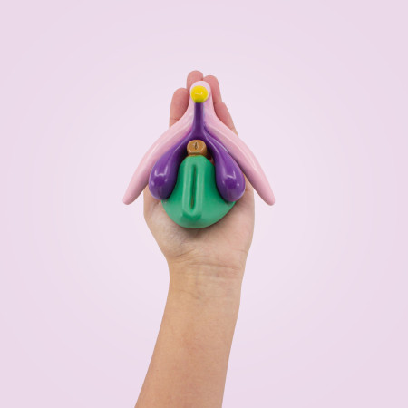 Modèle anatomique Clitoris 3D en PVC 6