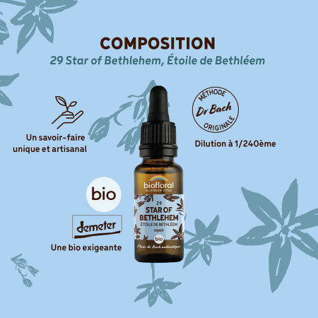 Fleurs de Bach n°29 - Etoile de Bethléem/Star of Bethlehem Bio