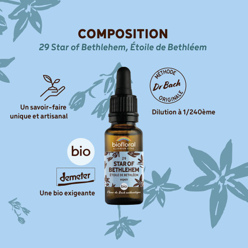 Fleurs de Bach n°29 - Etoile de Bethléem/Star of Bethlehem Bio