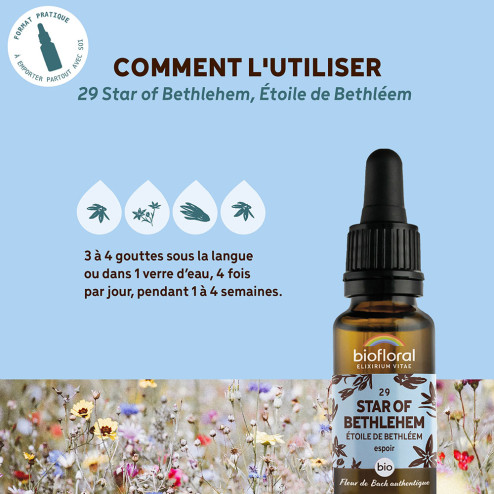 Fleurs de Bach n°29 - Etoile de Bethléem/Star of Bethlehem Bio