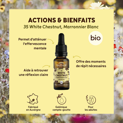 Fleurs de Bach n°35 - Marronnier blanc/White chestnut Bio