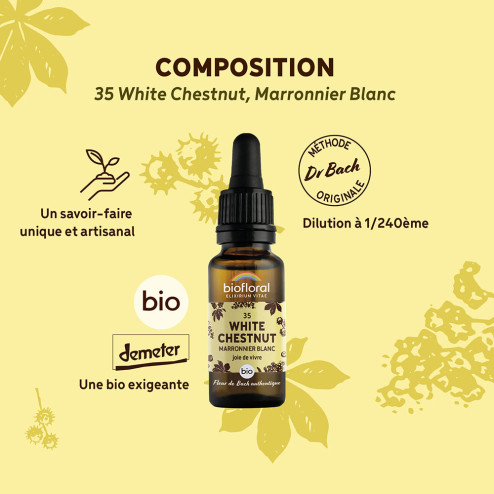Fleurs de Bach n°35 - Marronnier blanc/White chestnut Bio