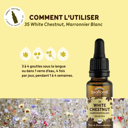 Fleurs de Bach n°35 - Marronnier blanc/White chestnut Bio