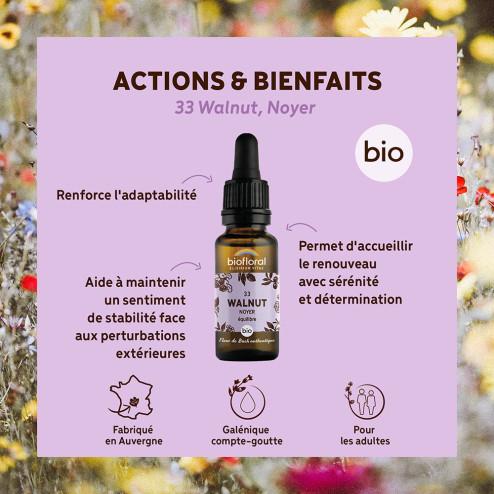 Fleurs de Bach n°33 - Noyer/Walnut Bio